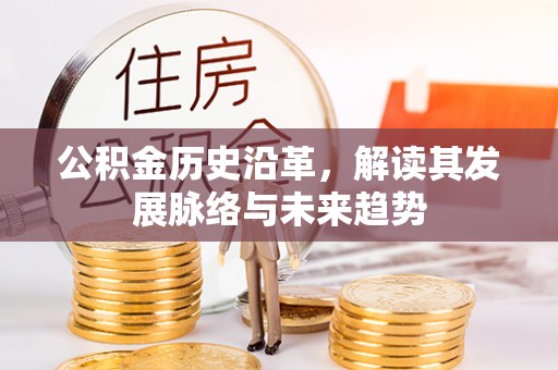 信用公积金历史沿革，解读其发展脉络与未来趋势
