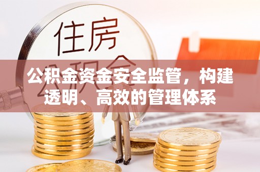 信用公积金资金安全监管，构建透明、高效的管理体系