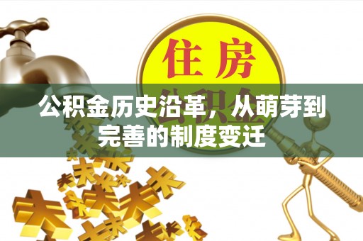 信用公积金历史沿革，从萌芽到完善的制度变迁