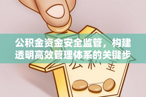 信用公积金资金安全监管，构建透明高效管理体系的关键步骤
