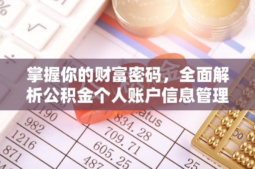 信用掌握你的财富密码，全面解析公积金个人账户信息管理