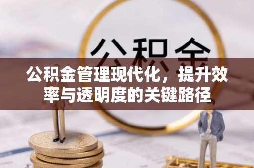 信用公积金管理现代化，提升效率与透明度的关键路径