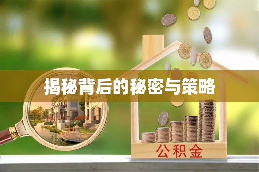 信用揭秘背后的秘密与策略