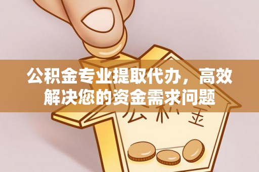 信用公积金专业提取代办，高效解决您的资金需求问题