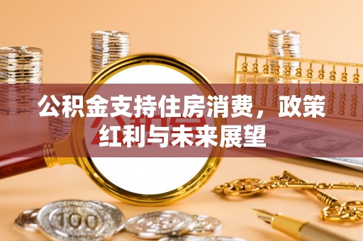 信用公积金支持住房消费，政策红利与未来展望