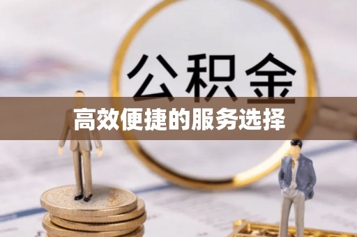 信用高效便捷的服务选择